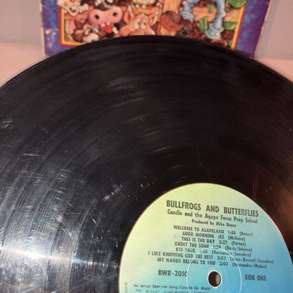 Vinyl Record Bullfrogs And Butterflies Songs From Agapeland Scratched But Works - Picture 5 of 8